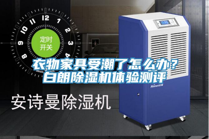 衣物家具受潮了怎麽辦？白朗草莓视频污污污污體驗測評