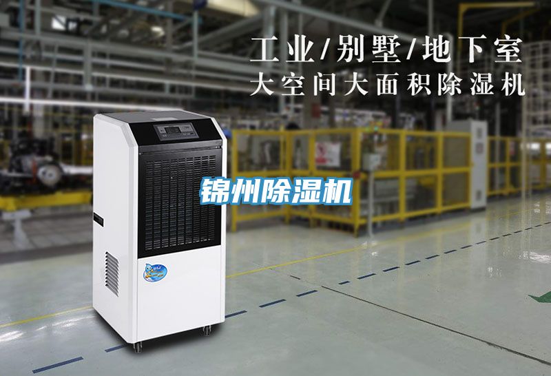 錦州草莓视频污污污污
