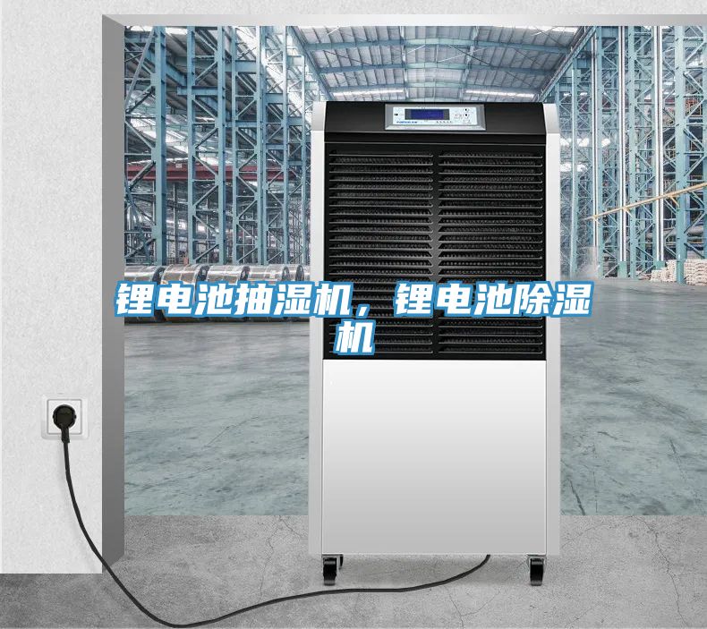 鋰電池抽濕機，鋰電池草莓视频污污污污