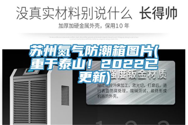 蘇州氮氣防潮箱圖片(重於泰山！2022已更新)