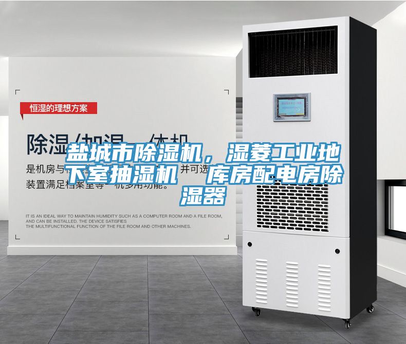 鹽城市草莓视频污污污污，濕菱工業地下室抽濕機  庫房配電房除濕器