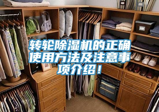 轉輪草莓视频污污污污的正確使用方法及注意事項介紹！