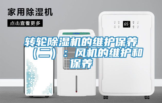 轉輪草莓视频污污污污的維護保養（二）：風機的維護和保養